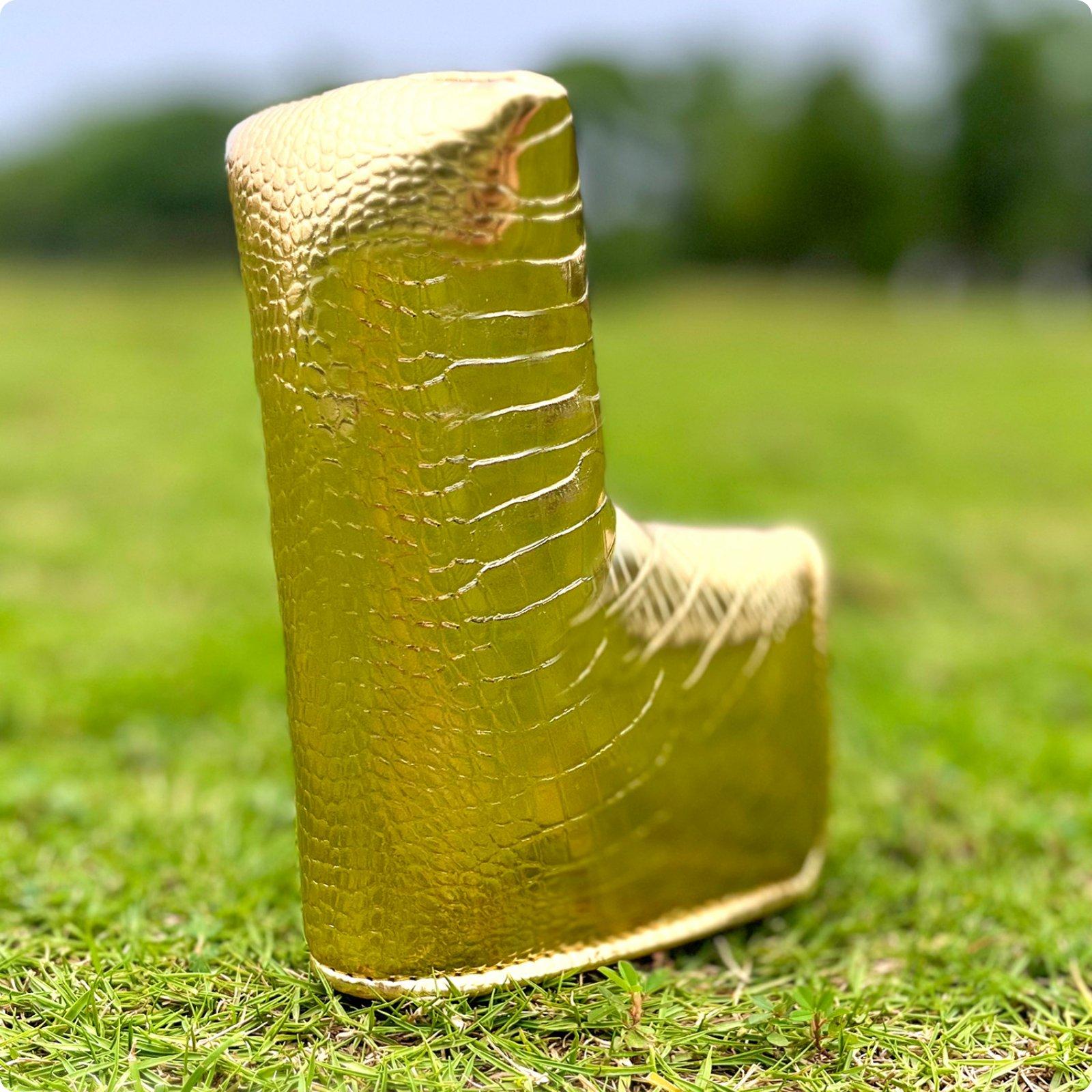 Sarung Putter Golf Magnetik, P - Putter Mallet Blade ulasan dan harga
